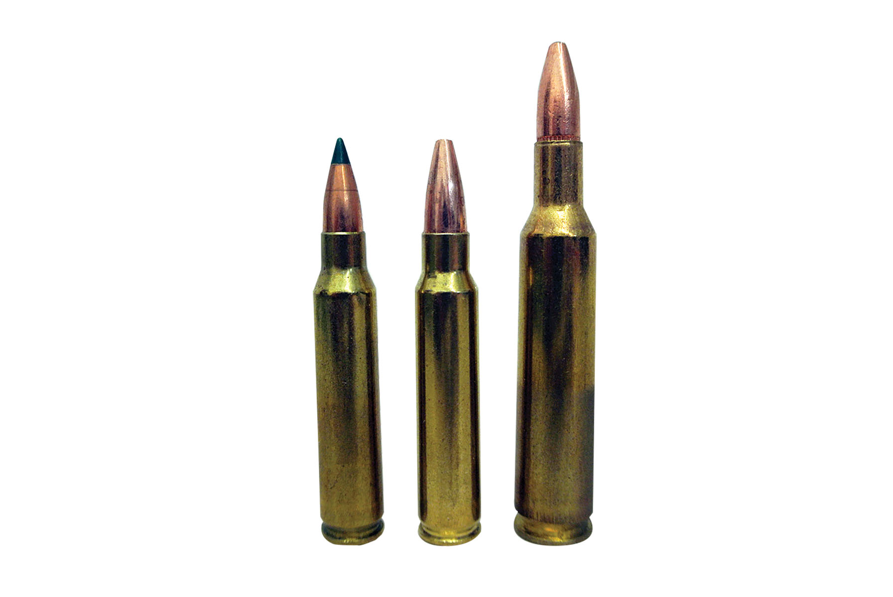 These cartridges include (left to right): the .223 Remington, 6x45mm and the 6mm Remington.